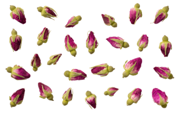 Dried rose tea isolated on white background, top view.