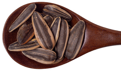 Big sunflower seeds in a wooden spoon close-up isolated on white, top view