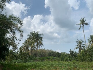 clear clouds during the day sky