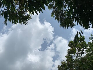 clear clouds during the day sky