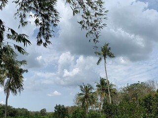 clear clouds during the day sky