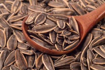 Big sunflower seeds in a wooden spoon close-up , side view