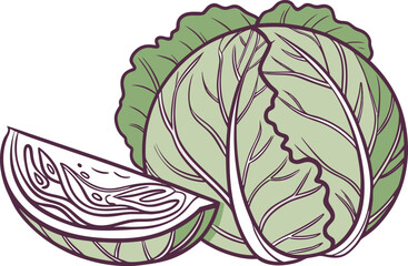 Original Natural Colored Cabbage Illustration. Realistic Purple and Green Cabbage Design. Fresh Cabbage Vegetable Graphic. Natural Color Cabbage Drawing. Organic Cabbage with Leaves Artwork