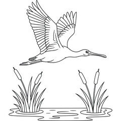 Cartoon spoonbill bird flying over a wetland pond with cattail plants — black and white line art for kids coloring book