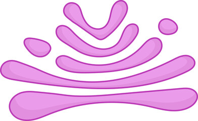 golgi apparatus