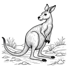 kangaroo vector illustration
