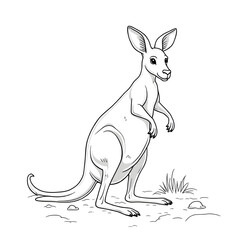 kangaroo with baby vector