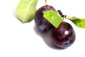 Plums with green leaves on a white background ** Note: Slight graininess, best at smaller sizes,