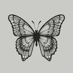 Intricate Black Butterfly Silhouette insect wings