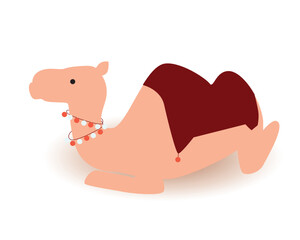 Traditional arabian camel isolated on white, flat vector stock illustration with lying camel