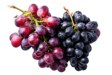 Fototapeta premium Two bunches of grapes, red and blue, with water droplets