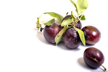 Plums with green leaves on a white background ** Note: Slight graininess, best at smaller sizes,
