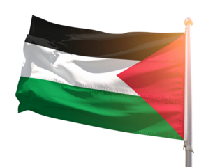 Palestine Flag Waving Gently in Breeze with Sunlight Highlights, Side Angle View, Isolated on Transparent Background