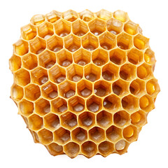 Honeycomb Cell Isolated on White Background