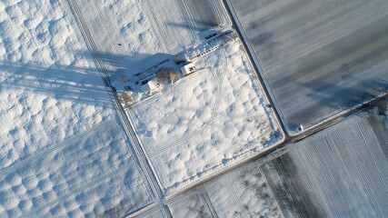Snow farmland aerial view showcasing geometric field patterns and long shadows, creating calm minimalistic winter landscape with soft light and serene abstract shapes in field - Powered by Adobe