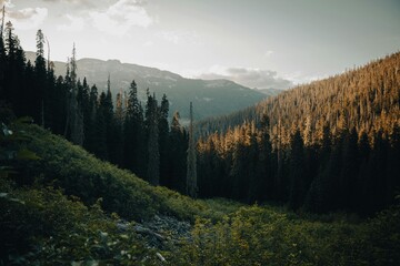 sunrise in the mountains
