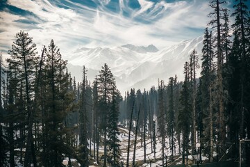 morning in snowy mountains
