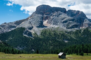Rustic cabin in a mountain meadow