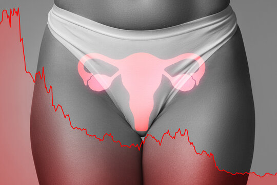 Female Reproductive Health Concept with Declining Ovarian Function and Menopause Indicator