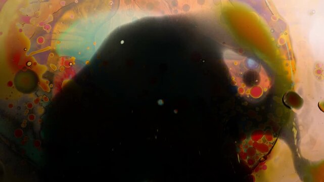 Authentic psychedelic liquid light show using the same methods as 1960's and 1970's projections at classic acid rock shows.