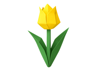 3d origami tulip isolated on transparent background