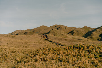 mountain Pulag, Mountain Province, Philippines