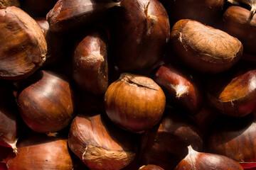 Illuminated chestnuts