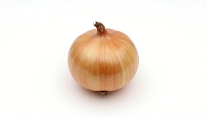 Single onion on a white background.
