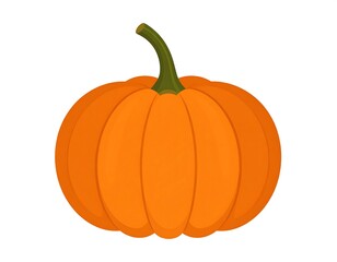 Orange pumpkin illustration