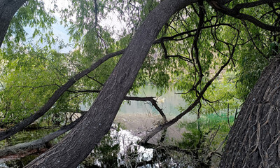 Mountain lake Ak-Kul in Kyrgyzstan.