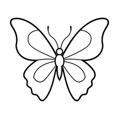 butterfly vector illustration