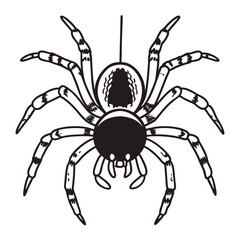 Vector art of black and white illustration of a spider with eight legs, isolated on white background