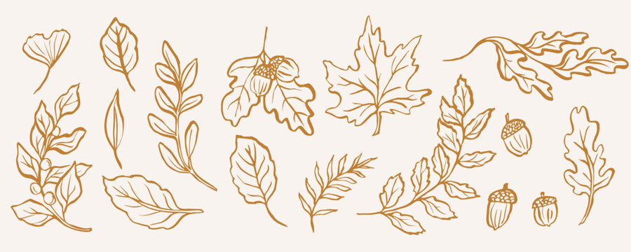 Hand drawn whimsical autumn leaves collection
