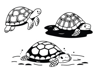 Vector art of three cute cartoon turtles swimming in water, isolated on white background