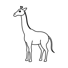 giraffe vector illustration