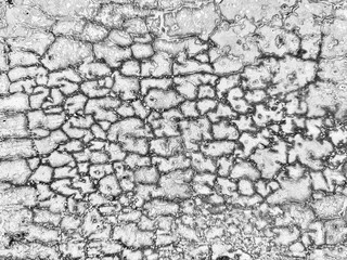Cracked concrete wall texture in white and gray. Aged cement wall with cracks. Closeup of rough cement surface with natural aging and fractures.