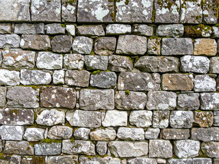 White cracked plaster wall texture. Grunge background with peeling paint and damaged surface detail.