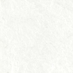 Obraz premium Plain white textured paper