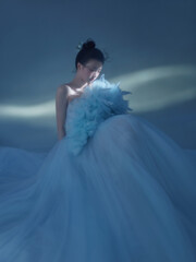 Young woman in elegant blue gown with soft feather details.