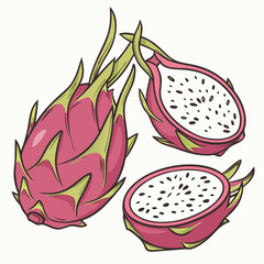 Vector art of whole and halved dragon fruits, also known as pitaya, isolated on white background