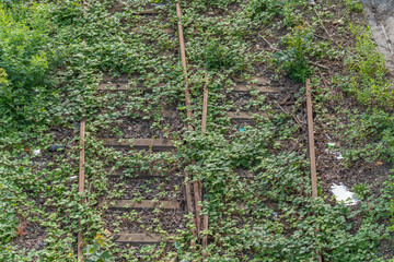 Detailed shot of a rusty and overgrown stretch of rail. Plants climb over the tracks, testifying to...