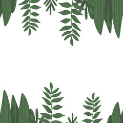 Illustration of leaves and plants, transparent background
