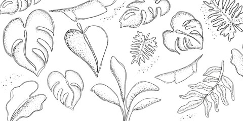 Illustration of various tropical plants and casting, black line transparent background
