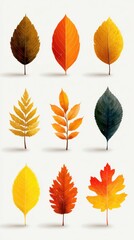 Beautiful array of autumn leaves showcasing vibrant colors and various shapes on a light background
