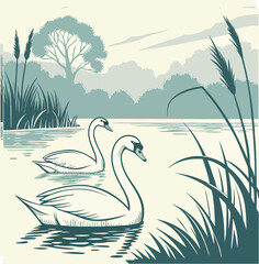 Vector art of two elegant swans swimming peacefully on a calm lake surrounded by reeds and trees