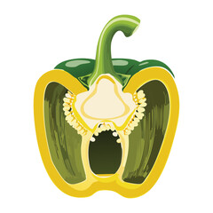 Green Bell Pepper Vegetable Half Cut - Vector Illustration