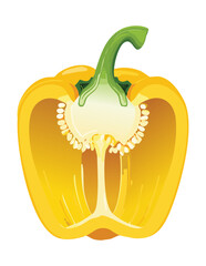 A Healthy Pepper Vegetable Cross Section - Vector Illustration
