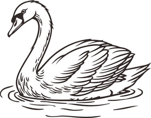 Vector art of elegant swan swimming gracefully in calm water, black and white illustration