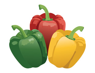 Bell Peppers for Salad and Cooking - Vector Illustration