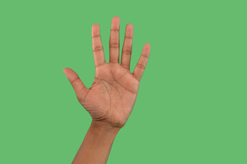 Hand raised in greeting against a vibrant green background showcasing a clear gesture of openness...